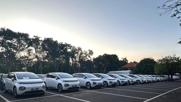 Mobil Listrik Wuling Jadi Mobil Resmi World Water Forum di Bali