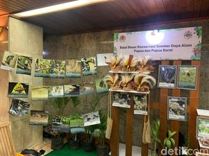 Mengenal Badak-Komodo dkk dan Konservasi Pelestariannya di Pameran Keanekaragaman Hayati