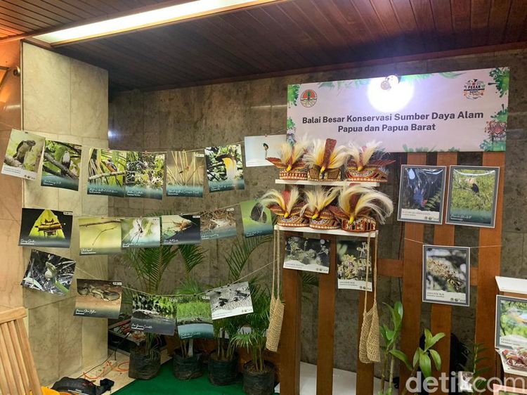 Potret Pameran Keanekaragaman Hayati Kenalkan Semua Upaya Konservasi