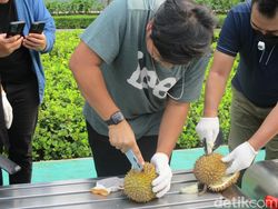 Mengintip Pengujian Oppo A60 yang Tahan Banting