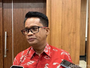 DLH Makassar Bakal Tata RTH di Kawasan Stadion Sudiang, Tanam 5 Ribu Pohon