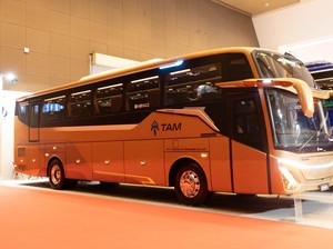 PO TAM Rilis 10 Bus Baru: Pakai Sasis Mercedes-Benz, Bodi Adiputro
