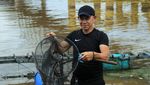 Potret Budi Daya Ikan di Tepian Sungai, Auto Cuan!