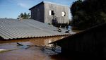 Potret Hewan Peliharaan Ngungsi ke Atap Rumah Saat Banjir Brasil