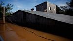 Potret Hewan Peliharaan Ngungsi ke Atap Rumah Saat Banjir Brasil