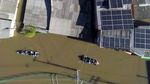 Potret Hewan Peliharaan Ngungsi ke Atap Rumah Saat Banjir Brasil