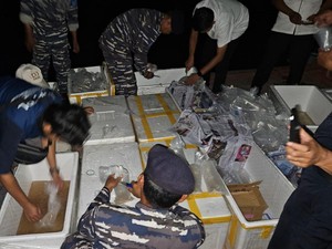 Penyelundupan Benih Lobster Rp 15,9 M Digagalkan di Sumsel, 2 Pelaku Diamankan