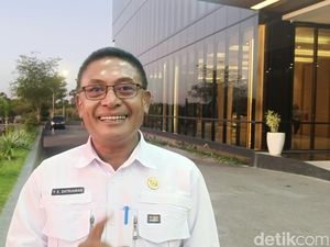 Dua Warga Sikka Digigit Anjing Rabies, Stok VAR Kosong