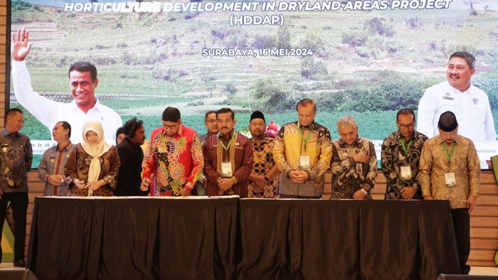 Sumenep jadi proyek pengembangan hortikultura di lahan kering