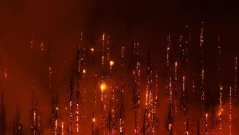 Karya Tobias Richter. Foto: The GDT Nature Photographer of the Year