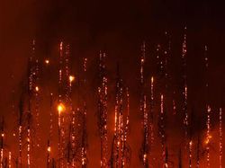 Karya Memukau Jawara Kontes Foto Alam