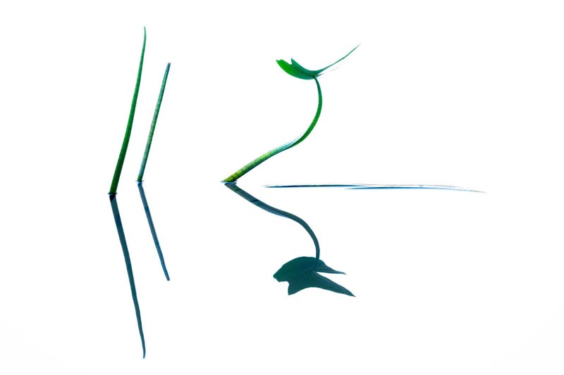 The GDT Nature Photographer of the Year 2024