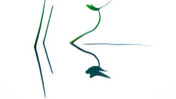 Karya Heike Odermatt. Foto: The GDT Nature Photographer of the Year