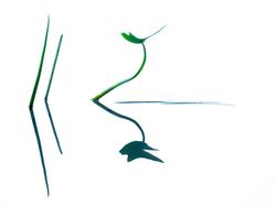 Karya Memukau Jawara Kontes Foto Alam