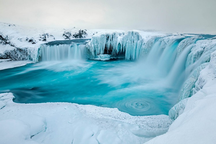 The GDT Nature Photographer of the Year 2024