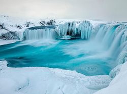 Karya Memukau Jawara Kontes Foto Alam