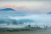 The GDT Nature Photographer of the Year 2024
