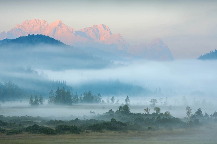 The GDT Nature Photographer of the Year 2024