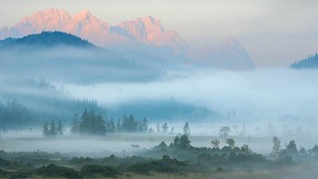 Karya Ulrike Eisenmann. Foto: The GDT Nature Photographer of the Year