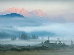 Karya Memukau Jawara Kontes Foto Alam