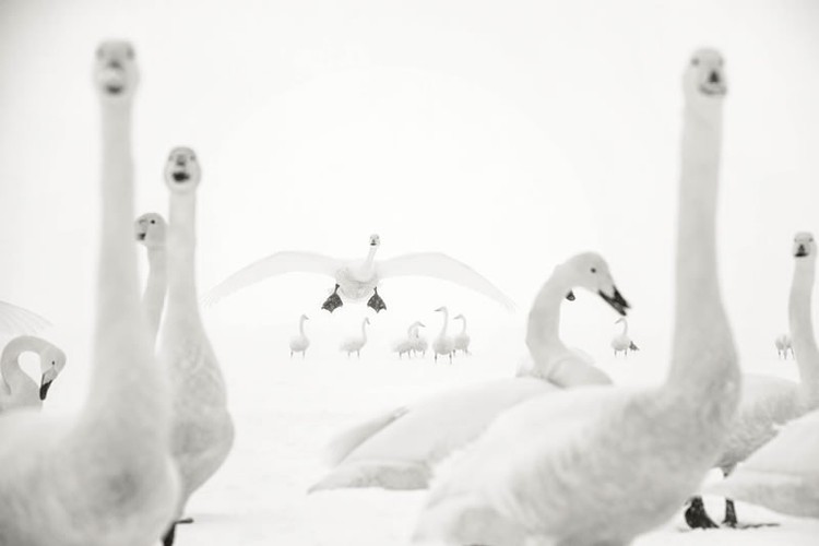 The GDT Nature Photographer of the Year 2024