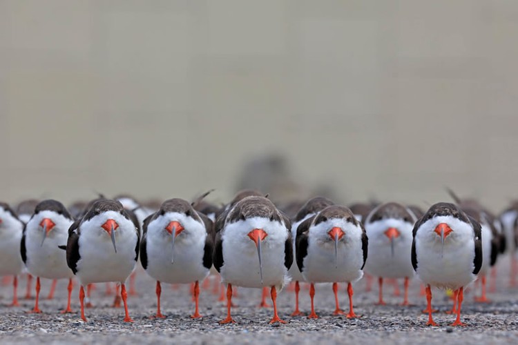 The GDT Nature Photographer of the Year 2024