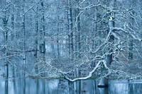 The GDT Nature Photographer of the Year 2024
