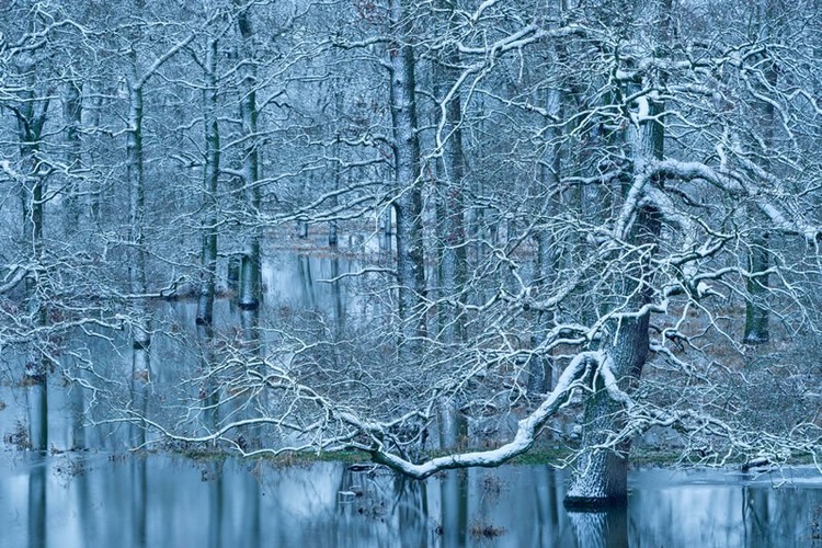 The GDT Nature Photographer of the Year 2024