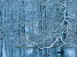 Karya Memukau Jawara Kontes Foto Alam