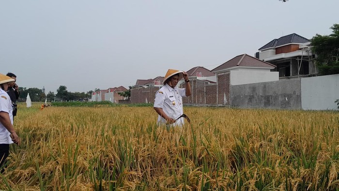 Wabup Klaten Yoga Hardaya