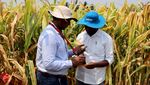 Canggih! Petani India Pakai Data Satelit untuk Genjot Hasil Panen