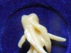 Deretan Foto Biasa Tapi Terasa Menyeramkan Saat Dilihat