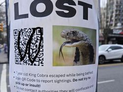 Deretan Foto Biasa Tapi Terasa Menyeramkan Saat Dilihat