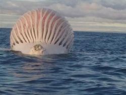 Deretan Foto Biasa Tapi Terasa Menyeramkan Saat Dilihat