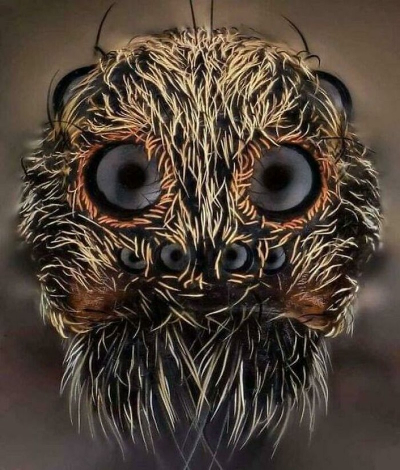 Foto Biasa Tapi Menyeramkan