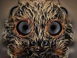 Deretan Foto Biasa Tapi Terasa Menyeramkan Saat Dilihat