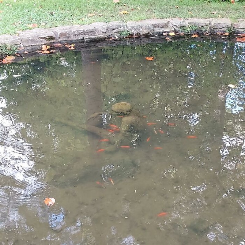 Foto Biasa Tapi Menyeramkan