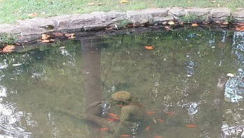 Patung Seorang Anak Di Dasar Kolam Ini Foto: Boredpanda