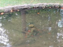 Deretan Foto Biasa Tapi Terasa Menyeramkan Saat Dilihat