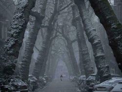 Deretan Foto Biasa Tapi Terasa Menyeramkan Saat Dilihat