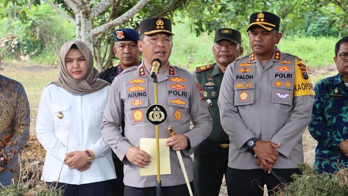 Kapolda Sumut Irjen Agung Setya Imam Effendi saat merilis penemuan ladang ganja di Madina. (Dok. Polda Sumut).