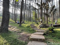 Suhu Bandung Jadi Lebih Dingin, Ini Penjelasan Ahli ITB
