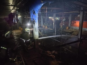 Peternakan di Jogonalan Klaten Terbakar, Ribuan Anak Ayam Terpanggang