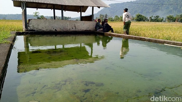 Mata air Cigempol yang terletak di Dusun Jemo, Desa Nagrak, Kecamatan Buah Dua, Kabupaten Sumedang, Jawa Barat