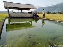 Mitos-mitos di Mata Air Cigempol, Konon Bisa Bikin Awet Muda