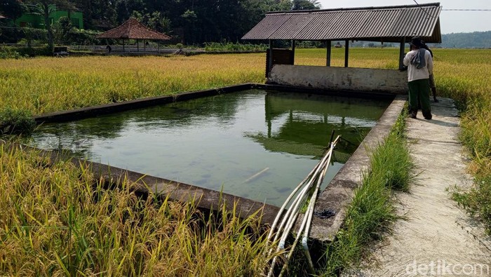 Mata air Cigempol yang terletak di Dusun Jemo, Desa Nagrak, Kecamatan Buah Dua, Kabupaten Sumedang.