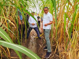 Bahlil Minta Investor Gaet Pengusaha Lokal di Proyek Swasembada Gula Merauke