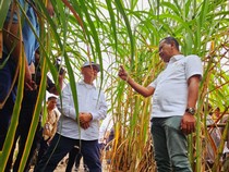 Menteri Bahlil Tinjau Kebun Tebu di Merauke, Targetkan Swasembada Gula