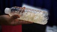 Bersama para tersangka, Polisi berhasil mengamankan sebanyak 91.246 benih baby lobster yang ditempatkan dalam 19 box styrofoam.   