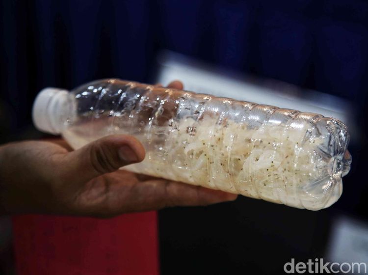 Polri dan KKP Gagalkan Penyelundupan Benih Lobster di Bogor